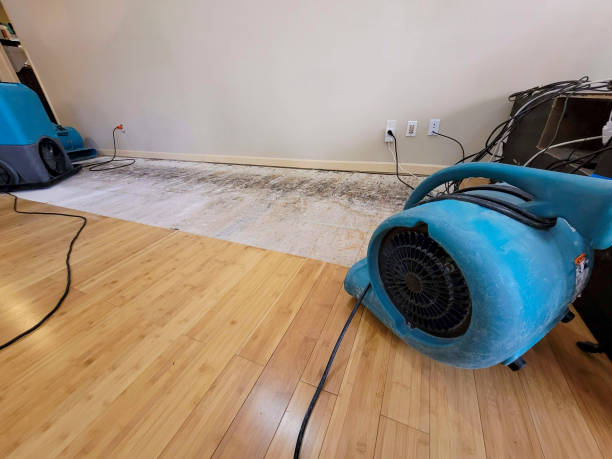 Professional Emergency Water Damage technician working in Neah Bay, WA